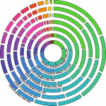 Annular representation of data - step 7